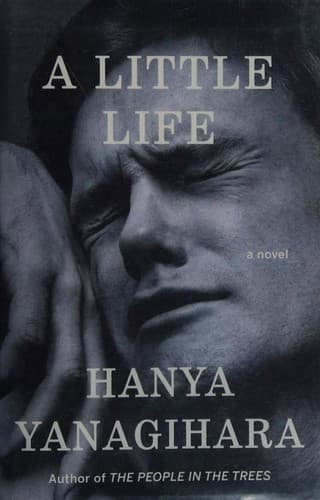 A Little Life